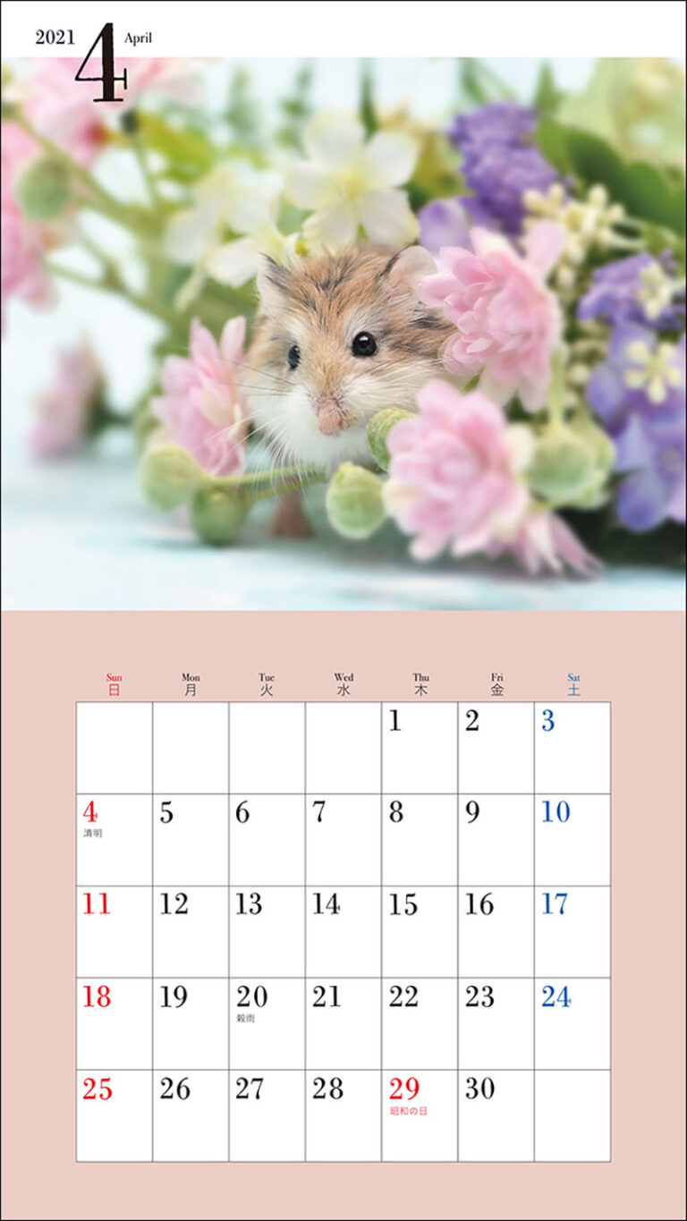 21年 ミニ判カレンダー かわいいハムスターのカレンダー 株式会社誠文堂新光社