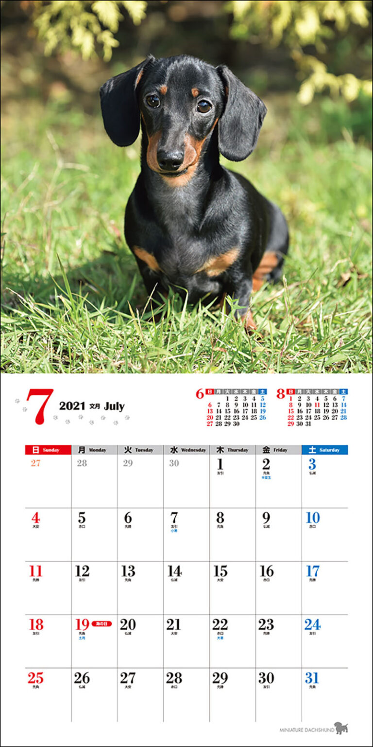 令和3年 動物 犬  いぬ ドッグ アニマル  インテリア  カレンダー ダックスフンド スケジュール  中古 2021年 壁掛け