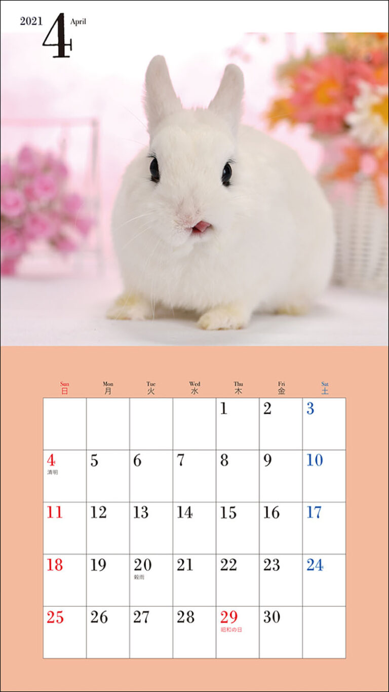 21年 ミニ判カレンダー かわいいうさぎのカレンダー 株式会社誠文堂新光社