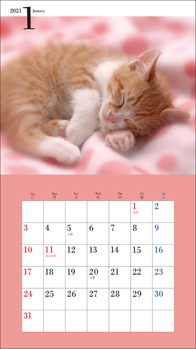 21年 ミニ判カレンダー かわいいこねこのカレンダー 株式会社誠文堂新光社