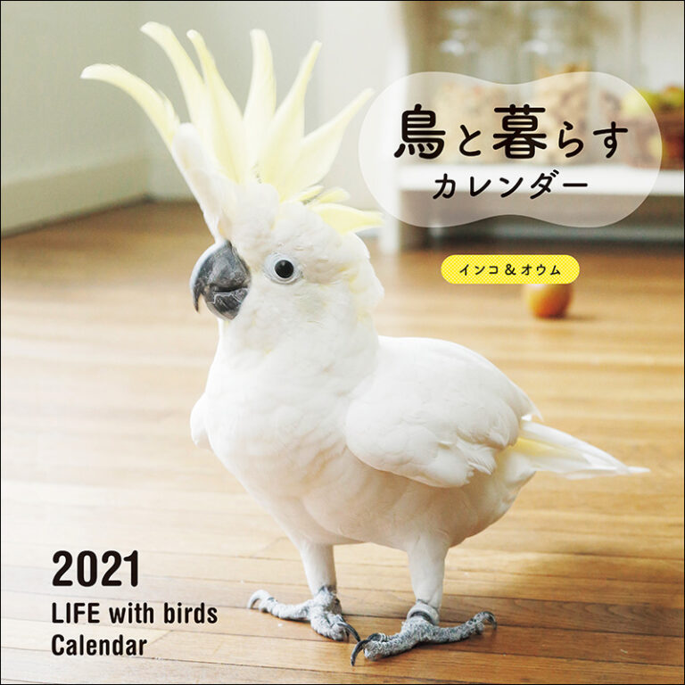 21年 大判カレンダー 鳥と暮らすカレンダー インコ オウム 株式会社誠文堂新光社