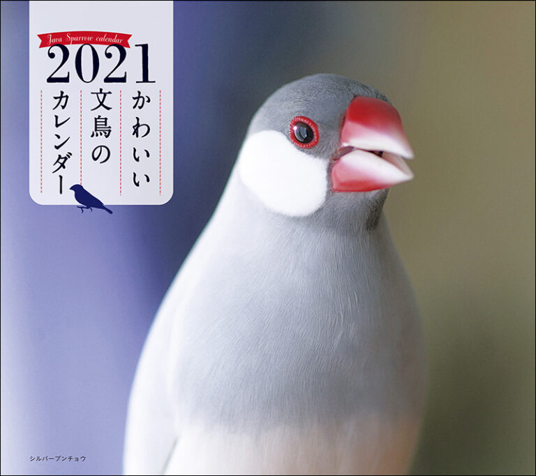 21年 ミニ判カレンダー かわいい文鳥のカレンダー 株式会社誠文堂新光社