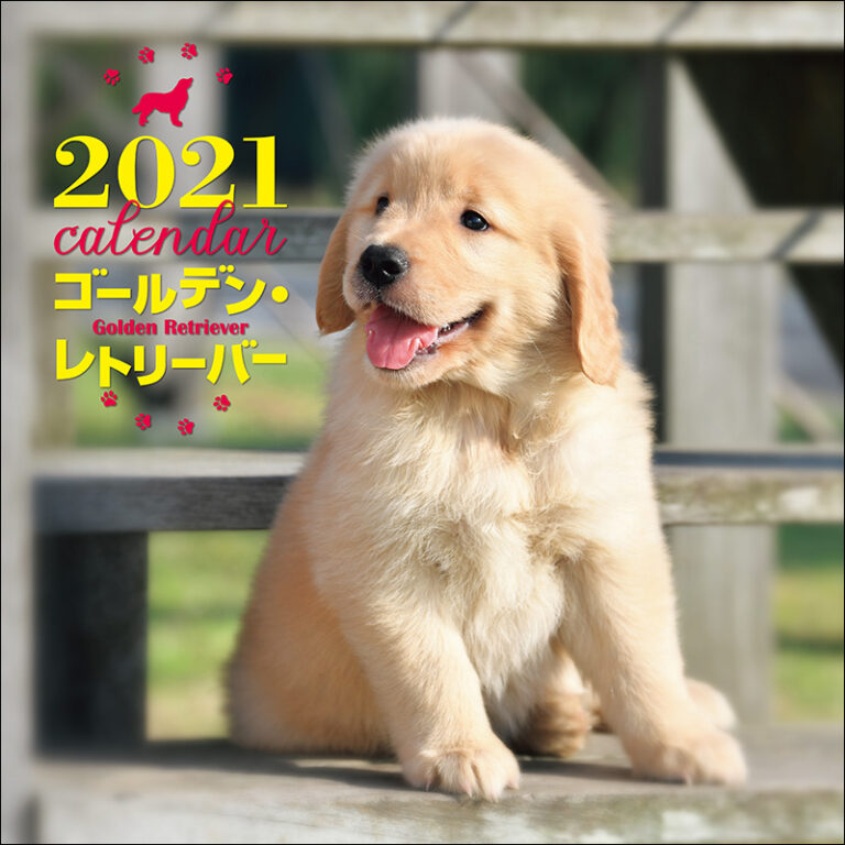 2021年 大判カレンダー ゴールデン・レトリーバー | 株式会社誠文堂新光社