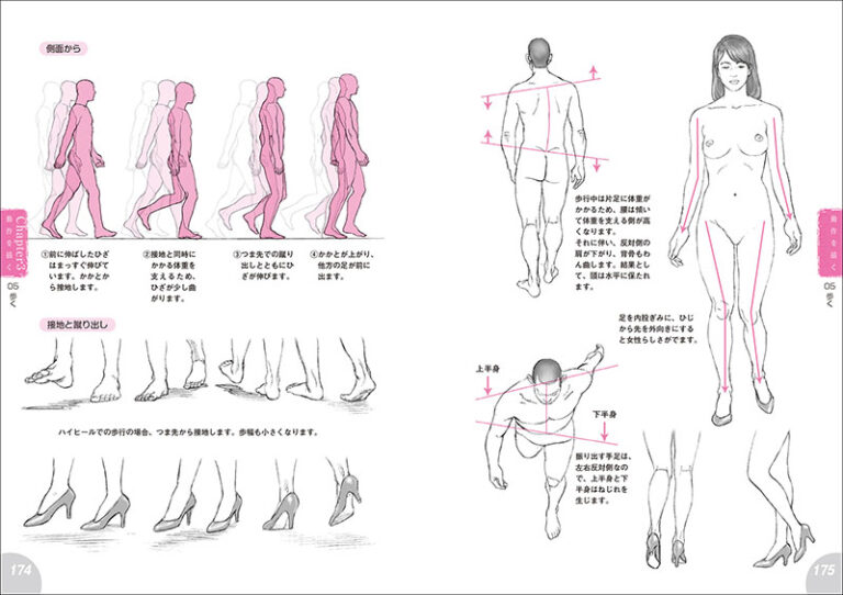 新版 人体解剖図から学ぶキャラクターデッサンの描き方 | 株式会社誠文