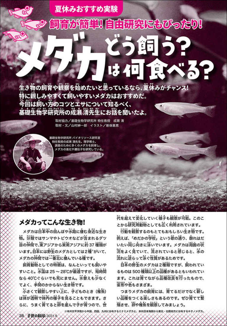 子供の科学 21年8月号 特大号 別冊付録 とじ込み付録付き 株式会社誠文堂新光社