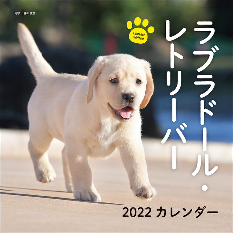 2021年4月号RETRIEVER　vol.103