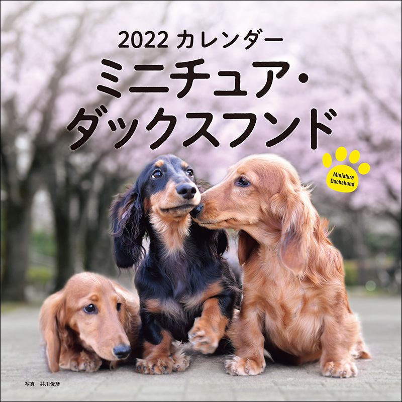 2022年 カレンダー ミニチュア・ダックスフンド | 株式会社誠文