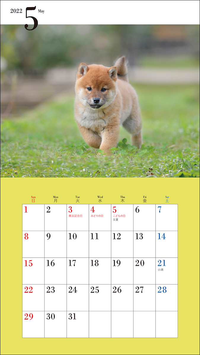 22年 カレンダー かわいい柴犬 株式会社誠文堂新光社