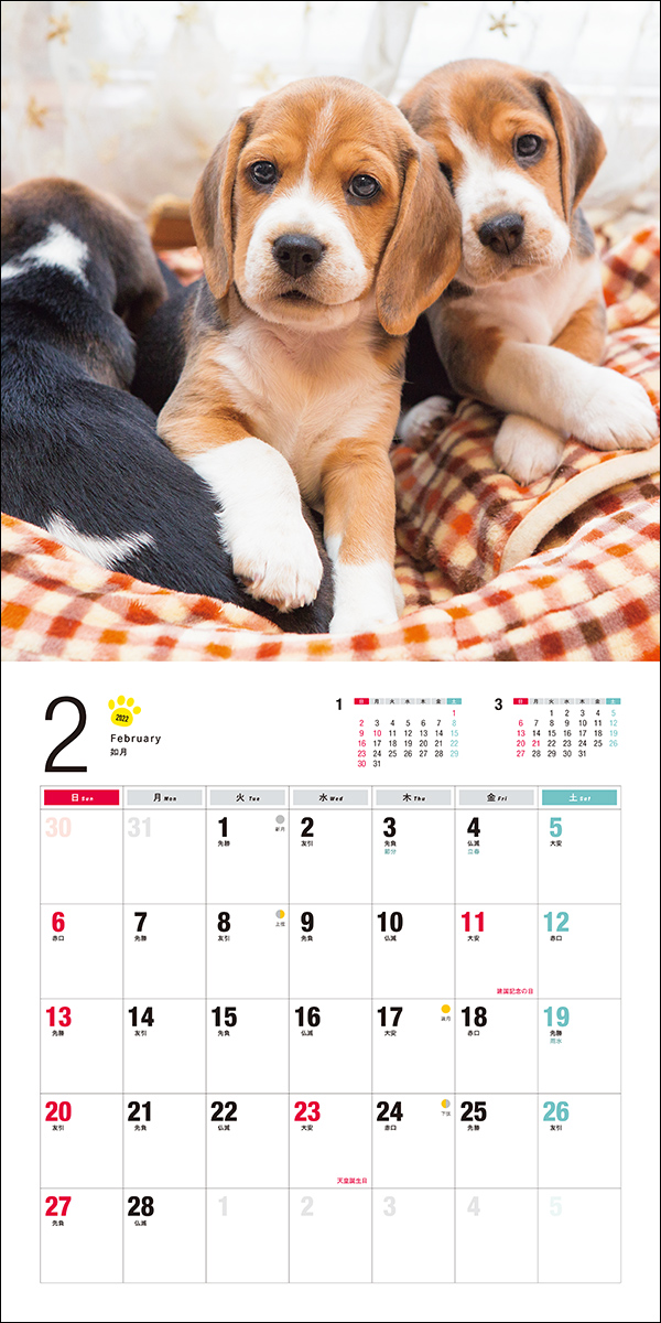 価格 帯 2022年 カレンダー ビーグル (誠文堂新光社カレンダー) その他趣味