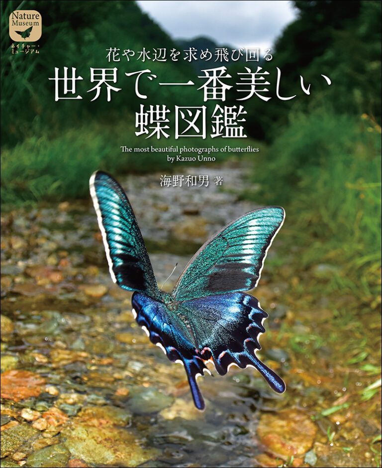 世界で一番美しい蝶図鑑 株式会社誠文堂新光社