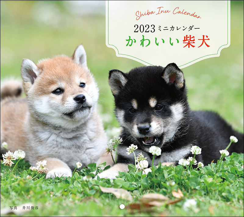 23年カレンダー かわいい柴犬 株式会社誠文堂新光社