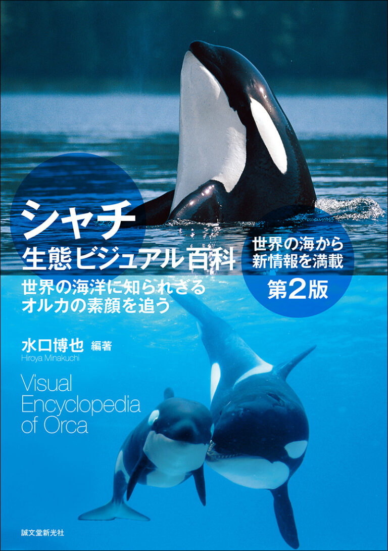 シャチ　No.1        