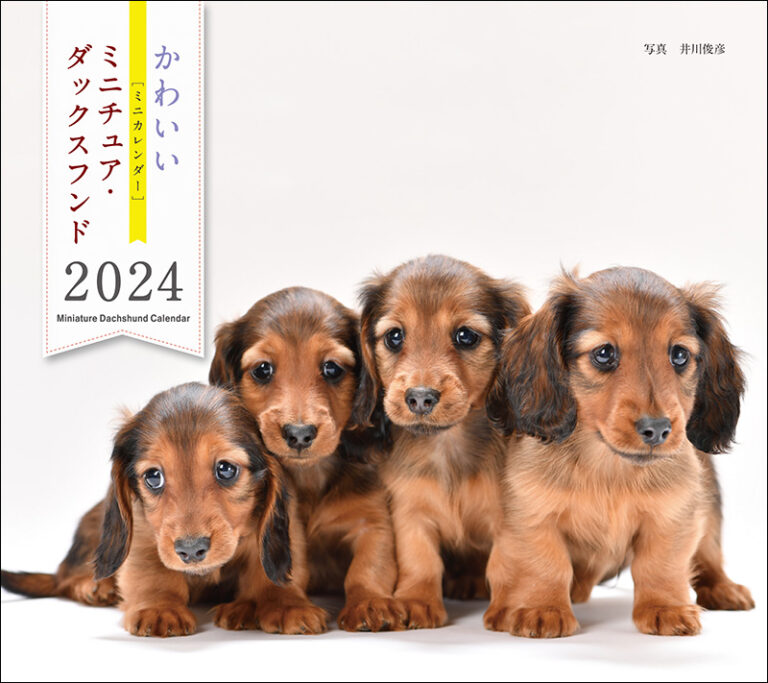 2024年カレンダー かわいいミニチュア・ダックスフンド | 株式会社誠文
