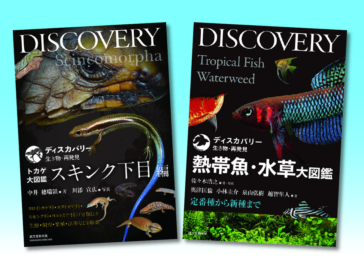 最安値に挑戦！ ディスカバリー生き物・再発見2025セット 株式会社 | （全2巻） 科学