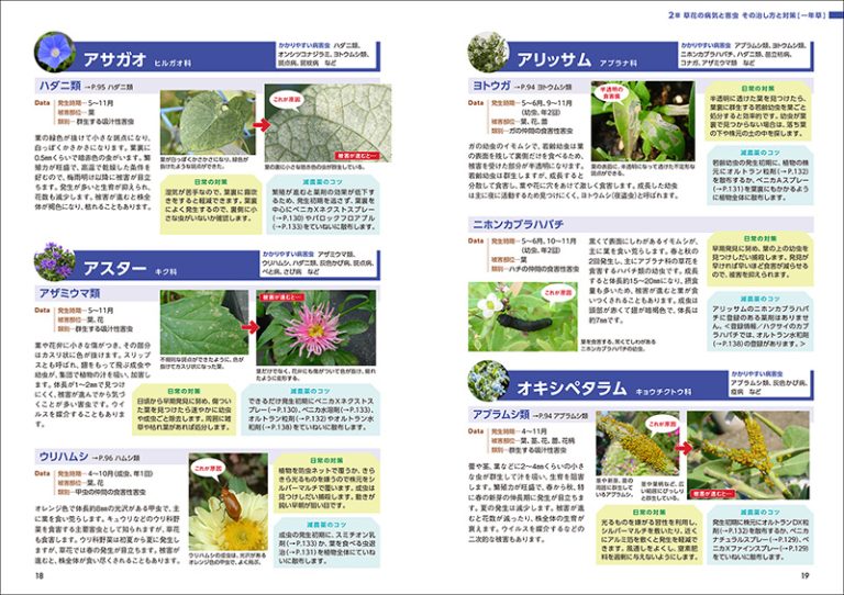 減農薬で防げて治せる草花・多肉・観葉植物の病害虫 | 株式会社