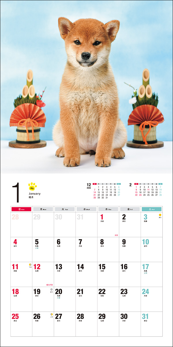Mark Siwat カレンダー 2021 2026年カレンダー 柴犬 | 株式会社誠文堂新光社