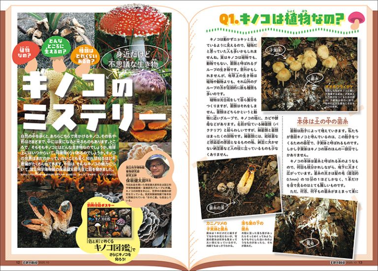 子供の科学 2025年10月号［別冊付録付き］ | 株式会社誠文堂新光社
