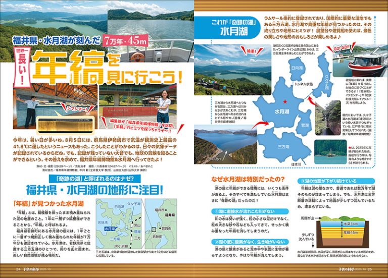 【Dr5 基礎編 特別編 DVD8枚セット 】幼児教室ひまわり 幼児教室ひまわり Dr.5 基本編 特別編