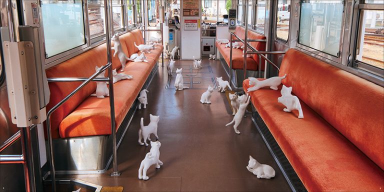 ねこ？ がいるよ | 株式会社誠文堂新光社