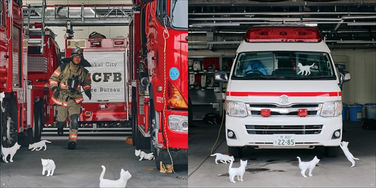 ねこ？ がいるよ | 株式会社誠文堂新光社