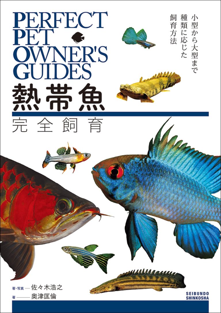 ベタ　　　4冊セット 飼育本など 　熱帯魚 熱帯魚完全飼育 | 株式会社誠文堂新光社