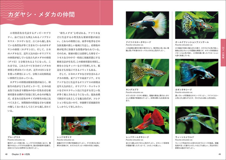 熱帯魚完全飼育 | 株式会社誠文堂新光社