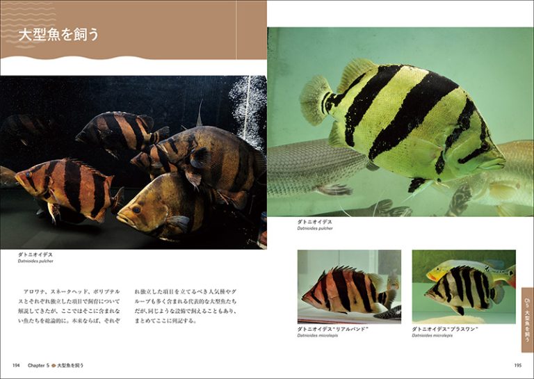 熱帯魚完全飼育 | 株式会社誠文堂新光社