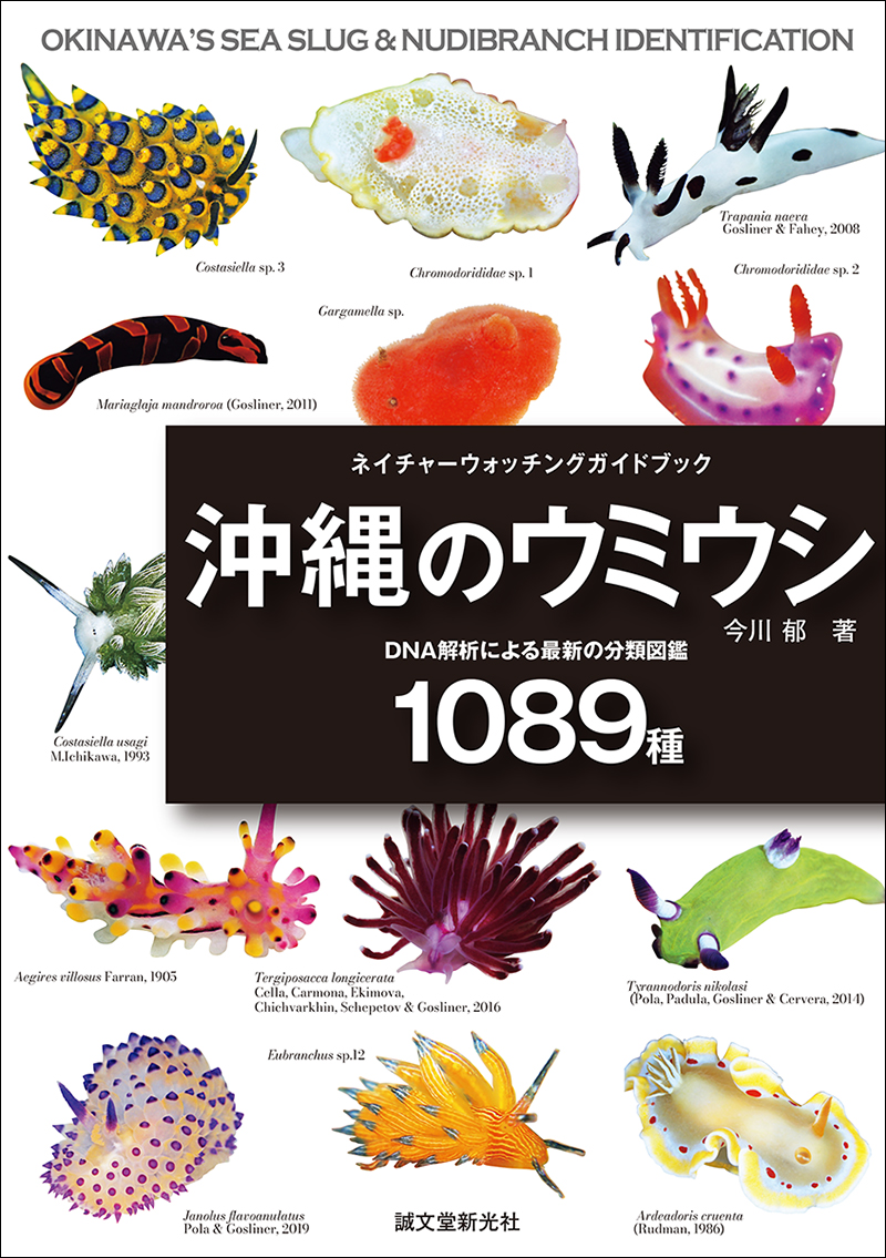 沖縄のウミウシ | 株式会社誠文堂新光社