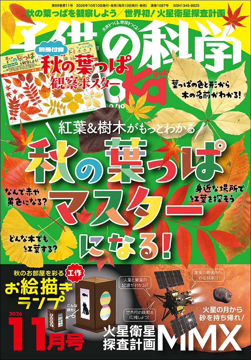原色東洋ラン 誠文堂新光社 子供の科学 2026年11月号［別冊付録付き］ | 株式会社誠文堂新光社