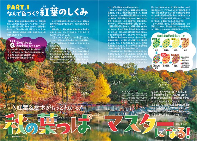 子供の科学 2026年11月号［別冊付録付き］ | 株式会社誠文堂新光社
