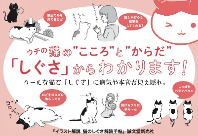 【ペット】イラスト解説 猫のしぐさ解読手帖