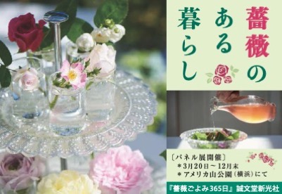 【趣味】薔薇ごよみ365日